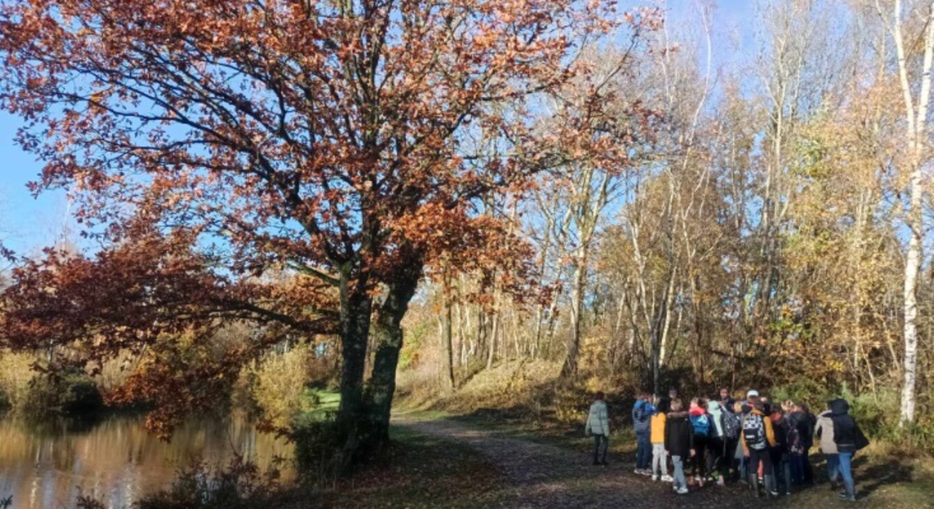 Des élèves avec un encadrant se trouvent sur un chemin près d'un fleuve, au bord de l'eau se trouve un grand arbre avec des feuilles d'automne