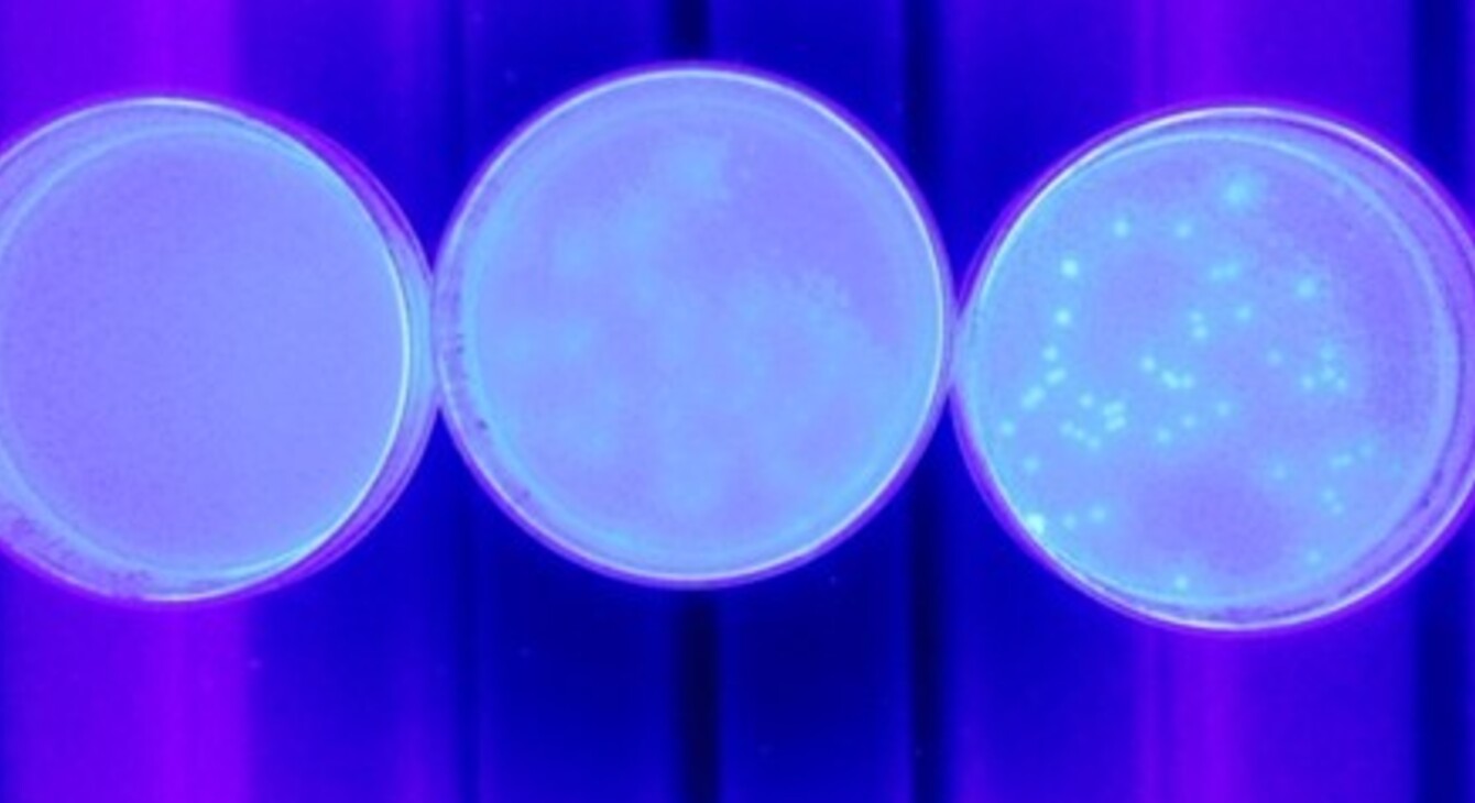 sciences