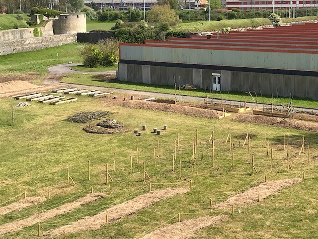 Vue d'ensemble du potager