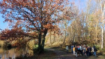 Des élèves avec un encadrant se trouvent sur un chemin près d'un fleuve, au bord de l'eau se trouve un grand arbre avec des feuilles d'automne