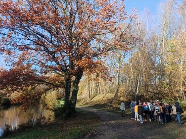 Des élèves avec un encadrant se trouvent sur un chemin près d'un fleuve, au bord de l'eau se trouve un grand arbre avec des feuilles d'automne